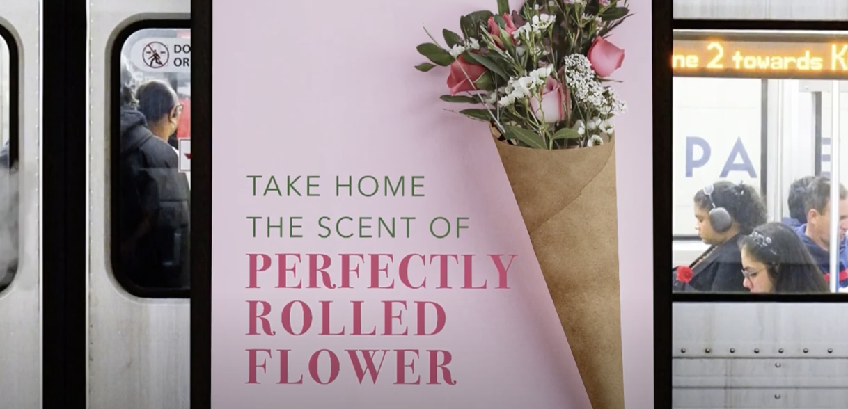 Take home the scent of perfectly rolled flower